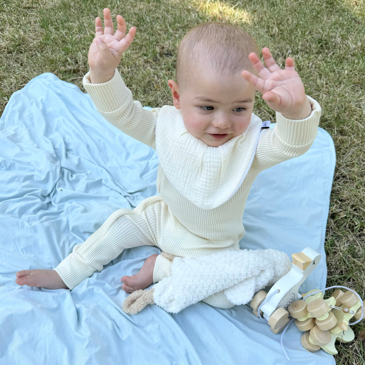 Waterproof Bandana Bib - Sweet Lemon
