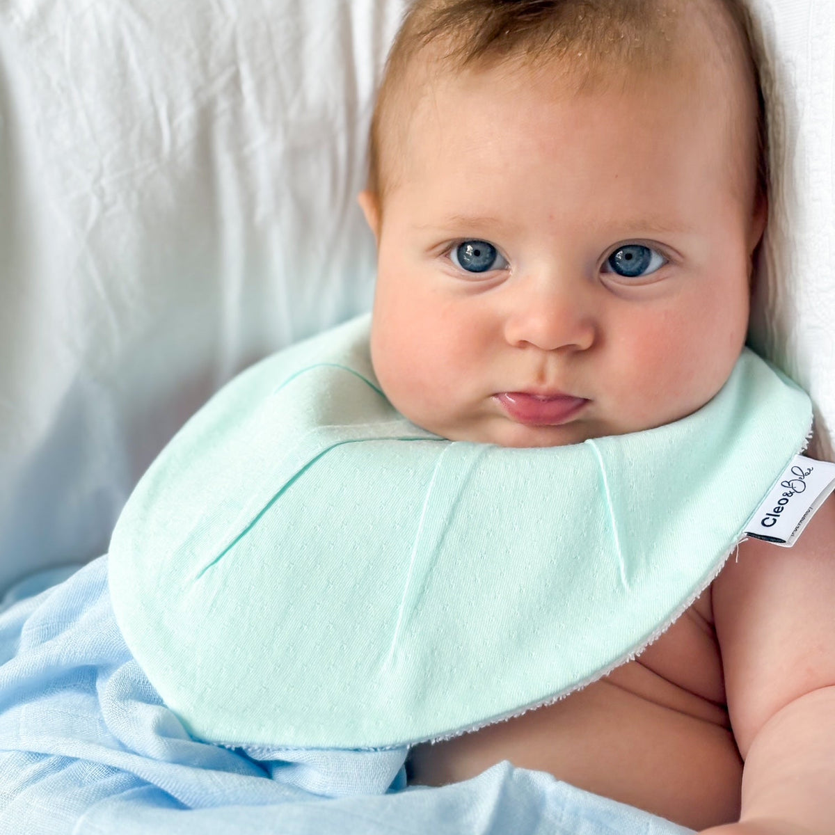 Waterproof Bib Bandana / Classic - Sea Holly Pointelle