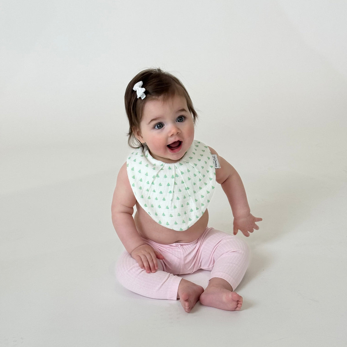 Waterproof Classic or Bandana Bib - Christmas Trees