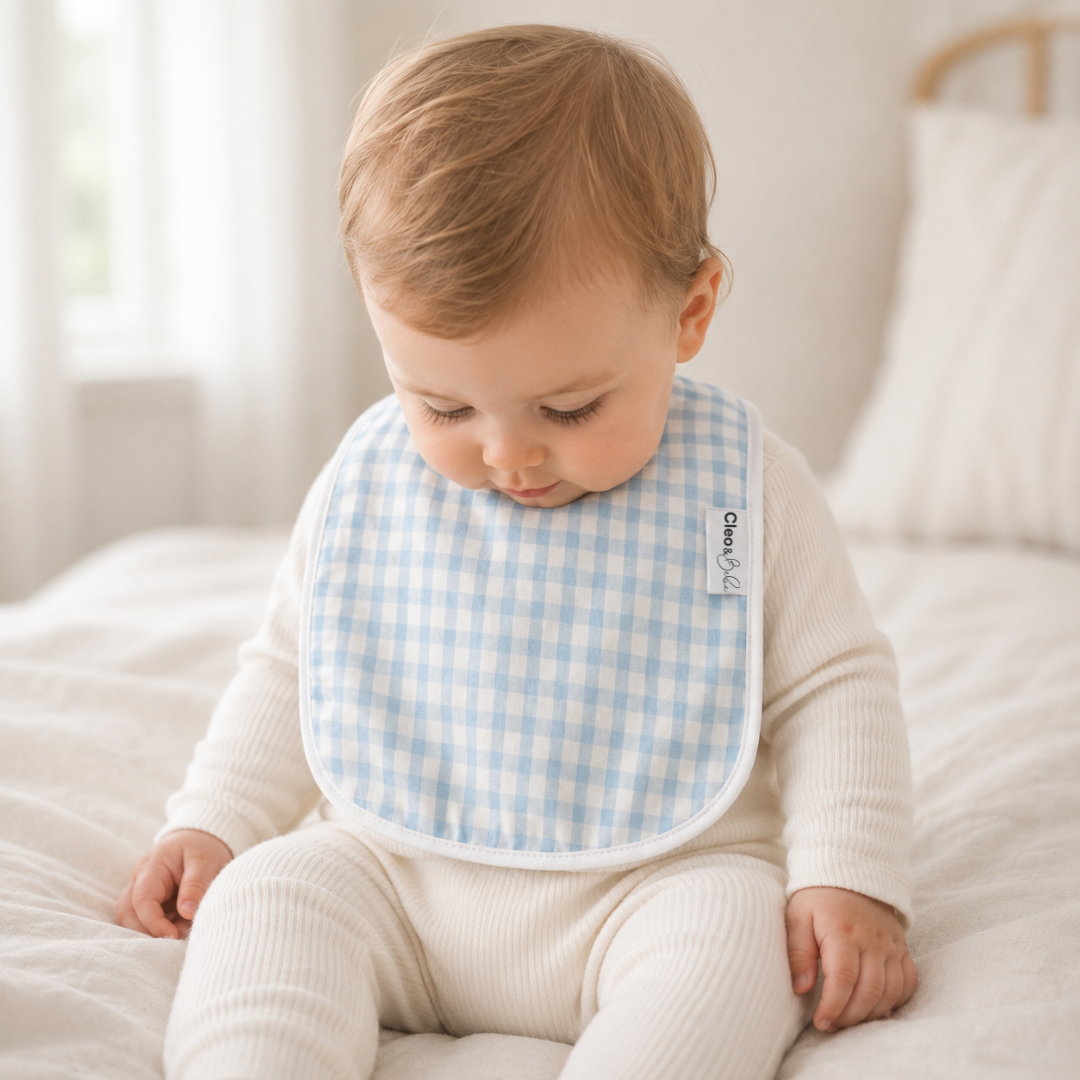 Waterproof Bib Classic or Bandana - Blue Gingham
